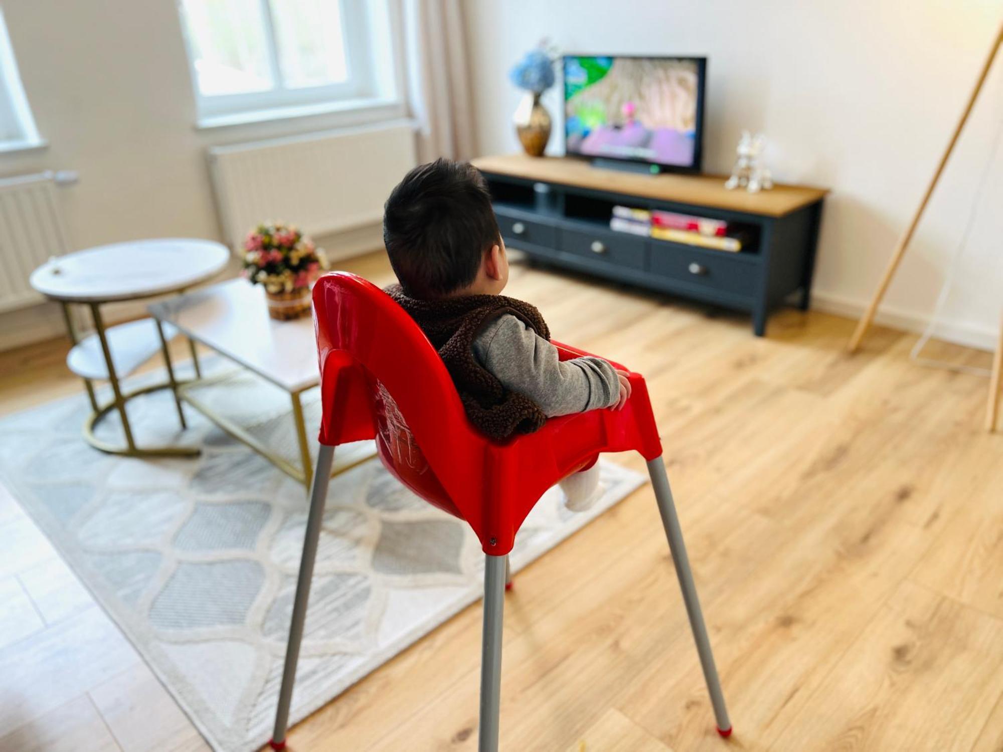 Twenty Five Apartment Bei Dresden - Free Parking, Massage-Stuhl, Netflix & Coffee Machine Heidenau (Saxony) Eksteriør billede